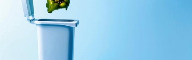 OTPAD OD HRANE KAO RESURS: Svaki stanovnik Srbije baci do 40 kg hrane godišnje, a ona bi mogla da greje domaćinstva