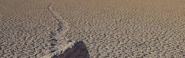 FOTO Procvetala "Dolina smrti": Događaj koji se dešava jednom u deceniji