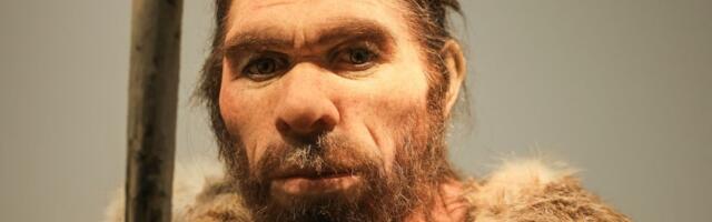 Pre 65.000 godina svi Neandertalci u Evropi su izumrli osim jedne genetske loze