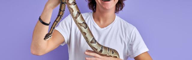 Nema vrtića ni fakulteta, ali je društvo tu: Generacija Z bira nezahtevne ljubimce umesto porodičnih obaveza