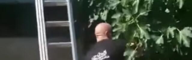 Ovo je neverovatno: Vladica se umalo potukao sa zmijom - kamera sve snimila (VIDEO)