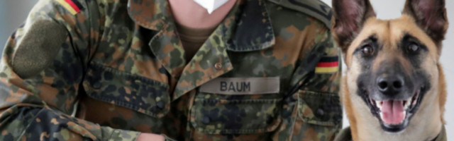 Obučeni psi mogu da nanjuše covid-19, veterinarska klinika kaže da je stopa uspeha 94% (VIDEO)