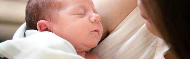 U Novom Sadu za 24 sata rođeno 15 beba