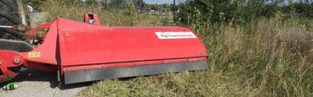 Počelo suzbijanje ambrozije na teritoriji Kragujevca (FOTO)