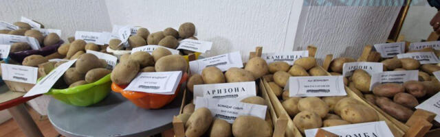 Održana Krompirijada u Pečenjevcu, nije objavljeno ko su nagrađeni proizvođači