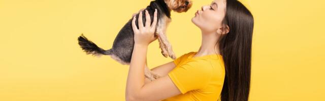 Ko su ljudi koji ne treba da imaju psa: Ako pripadate nekom od ovih 5 tipova, odustanite od nabavke ljubimca