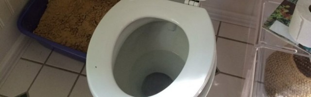 WC OSVEŽIVAČ SVI POGREŠNO STAVLJATE, U TO SMO SIGURNI! Pogledajte kako se to radi! BIĆETE IZNENAĐENI!