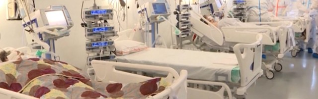 Direktorka Batajnice: U bolnici više nema mesta, i cele porodice zajedno u sobi
