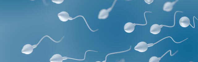 Studija: Broj i pokretljivost spermatozoida narušeni više meseci nakon kovida
