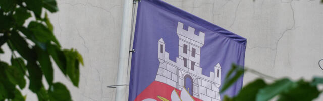 Sedam javnih preduzeća posluje bez direktora