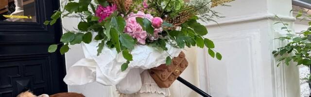 Mesečni horoskop za septembar 2025: Blizanci