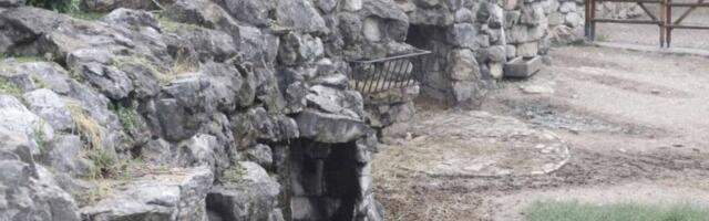 SPEKULACIJE O MASOVNOM POMORU ŽIVOTINJA UZDRMALE JAVNOST, INSPEKCIJA NA TERENU: Evo šta su zatekli u ZOO vrtu na Paliću