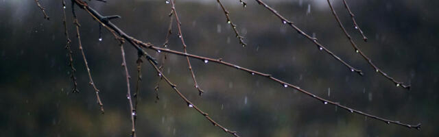 Pred nama još jedan tmuran i hladan dan: Očekuju se povremena kiša i sneg