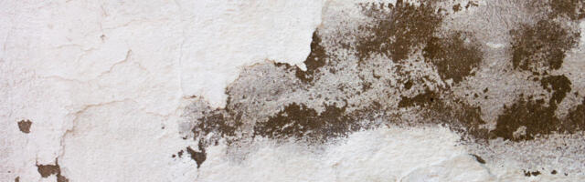 Opasnije nego što deluje: Buđ se najviše hvata u ovim delovima doma, pazite na “efekat dimnjaka”