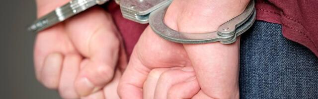 Srbija izručila Crnoj Gori njenog državljanina osuđenog za organizovani kriminal