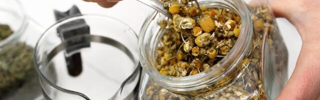 OVAJ ČAJ SRBI KUPUJU KAO LUDI, A PRIZIVA DIJABETES I KILOGRAME! Kada čujete koliko ŠEĆERA IMA U SEBI pretrnućete