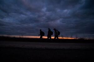Комесаријат: Повећан број миграната из Азије и Африке, Србија наставља да се одговорно понаша