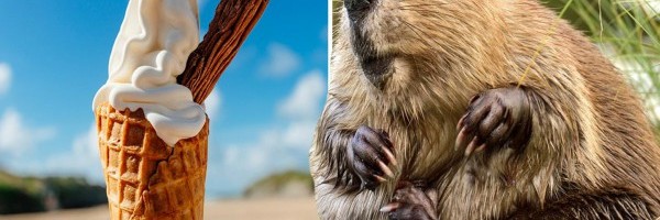 Ako volite vanilu onda ovo morate pročitati