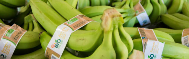 Zašto su banane uvek pod brojem jedan u marketima na vagama: Trgovci konačno otkrili istinu