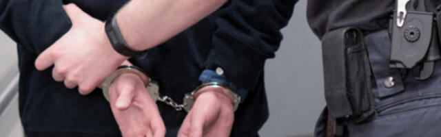 Полиција у Новом Садуу стану запленила дрогу и нелегално оружје