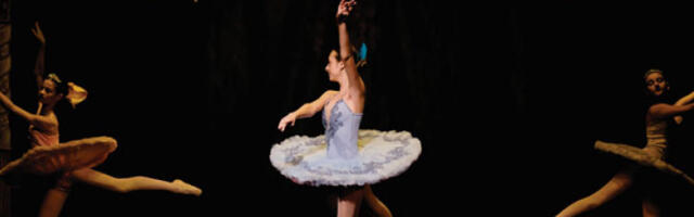 „Крцко Орашчић” у „Грачаници”