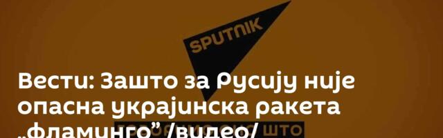 Вести: Зашто за Русију није опасна украјинска ракета „фламинго” /видео/