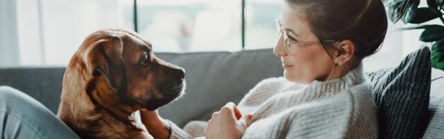 Koje simptome kod psa nikada ne treba ignorisati