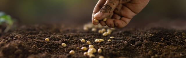 Setva sledi u aprilu, poljoprivrednici obavljaju pripremu: Prinos zavisi od ove tri stvari