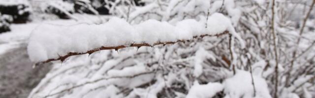 Drastična promena vremena: U Hrvatskoj pao sneg