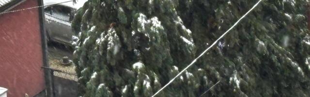 U Beogradu prvi sneg, kakva je prognoza za danas?(FOTO)