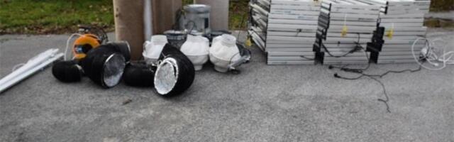 Srpska kriminalna grupa "pala" u Hrvatskoj: Napravili laboratoriju marihuane kod Virovitice