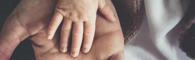 Данас су Оци