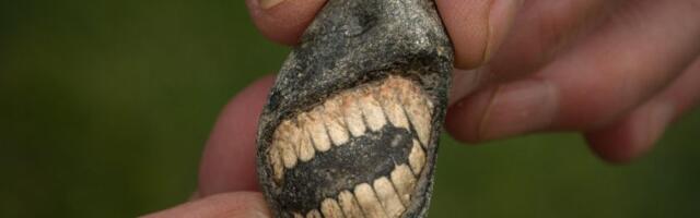 ‘Nasmejani’ fosil slučajno pronađen u Velikoj Britaniji