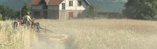 Evo kolike su cene za srpske njive: Sremske oranice najtraženije, prodaju se po ovoj cifri