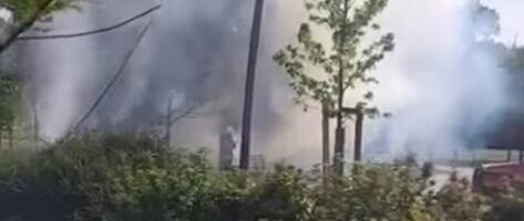 VELIKI POŽAR U LIMANSKOM PARKU! Vatrogasci brzo reagovali u Novom Sadu (VIDEO)