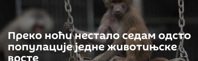 Преко ноћи нестало седам одсто популације једне животињске врсте