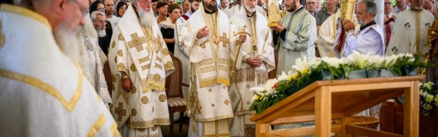 O. Miloš Vesin: Crkva je oaza za sve Srbe u rasejanju
