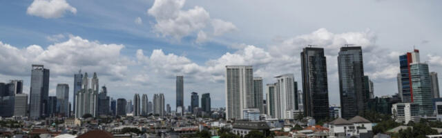 Џакарта забранила продају и конзумацију псећег и мачјег меса