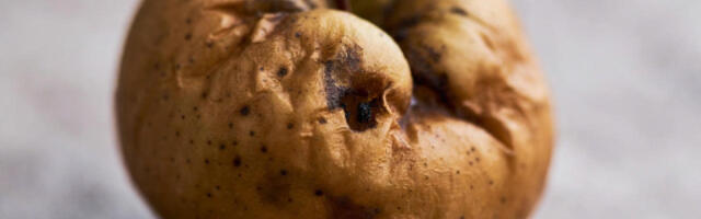 Trgovci očajni: AI šema sa trulim voćem sve masovnija zbog rupe u sistemu