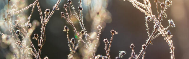 Pred nama još jedan leden, ali sunčan dan: Temperatura pada do -13 stepeni