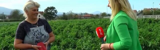 Cena crvene paprike kao „suvo zlato”: Evo kakvog je kvaliteta u selima zapadnog Pomoravlja
