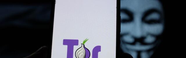 Američka vlada finansira Tor: Otkriveno koliko novca ide projektu koji obećava anonimnost