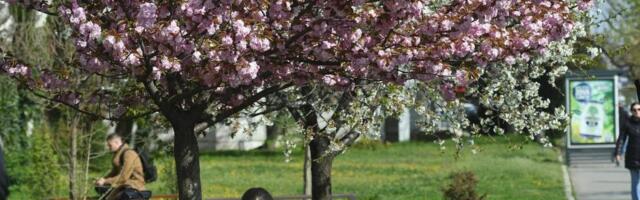 Danas sunčano i osetno toplije