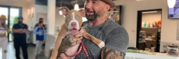 Dejv Bautista usvaja zlostavljane pse i pokreće rat protiv ljudi koji to rade