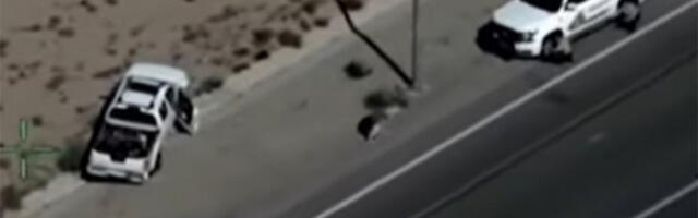 UKRALA KOMBI I POBEGLA DO GRANICE! Neverovatni snimci potere obišli svet! Policija satima jurila ženu, a onda se dogodio OBRT (VIDEO)