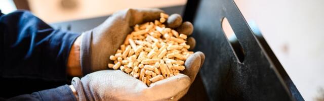 Pretpostavke o peletu pogrešne? Države preispituju stavove