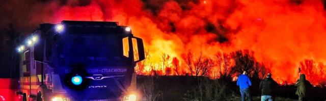 Prve slike stravičnog požara kod Beočina, gori deset hektara: Vatrogasci se dva sata bore sa stihijom