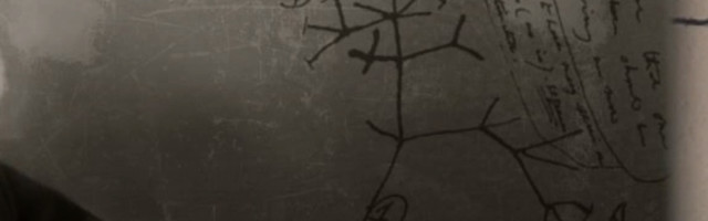 Britanski Prirodnjački muzej razmatra mogućnost da ukloni neke eksponate koji mogu biti ocenjeni kao rasno uvredljivi