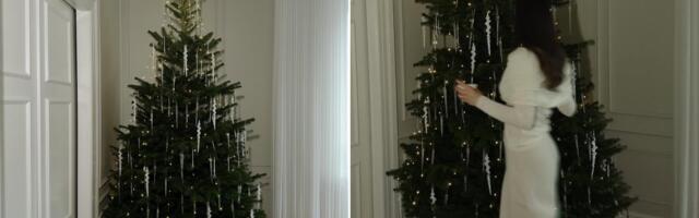 Kako biramo idealnu novogodišnju jelku? – ovi detalji su važni