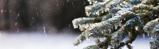 Nad Srbijom se sukobljavaju hladna i topla vazdušna masa: Na severu zemlje će vejati sneg, a na jugu i jugoistoku pljuštaće kiša